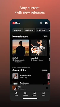 #3 - Software screenshot
