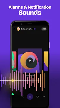 #4 - Software screenshot
