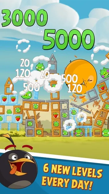 #5 - Software screenshot