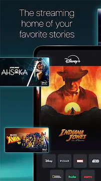 #1 - Software screenshot