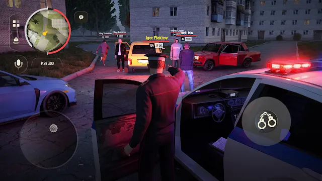#3 - Software screenshot