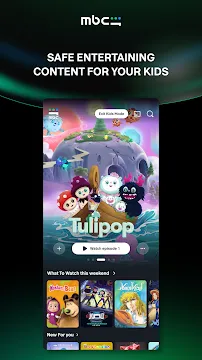 #6 - Software screenshot