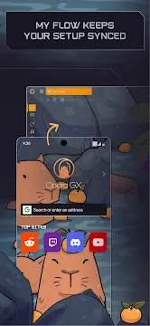 #4 - Software screenshot