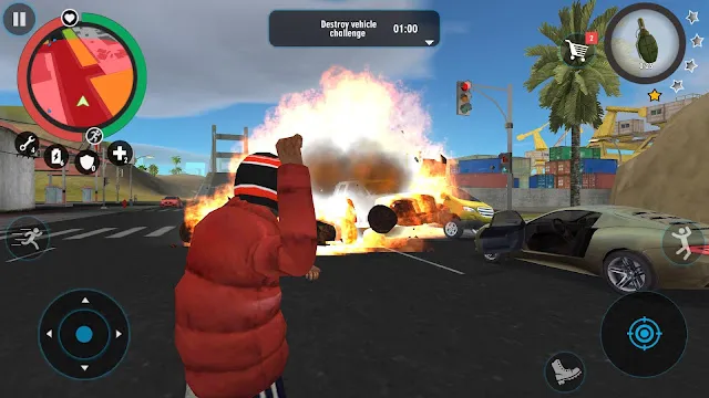 #8 - Software screenshot